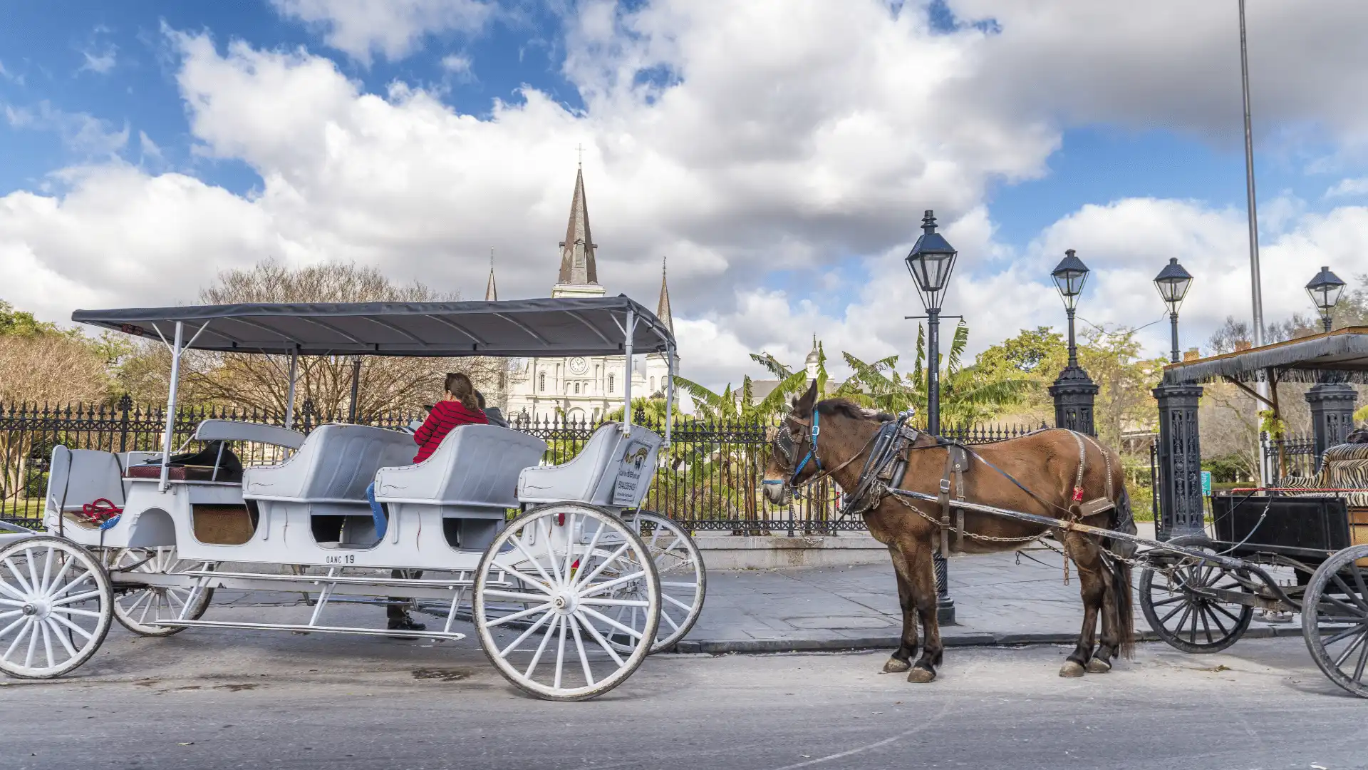 Private Carriage Tour of the French Quarter - TripShock!