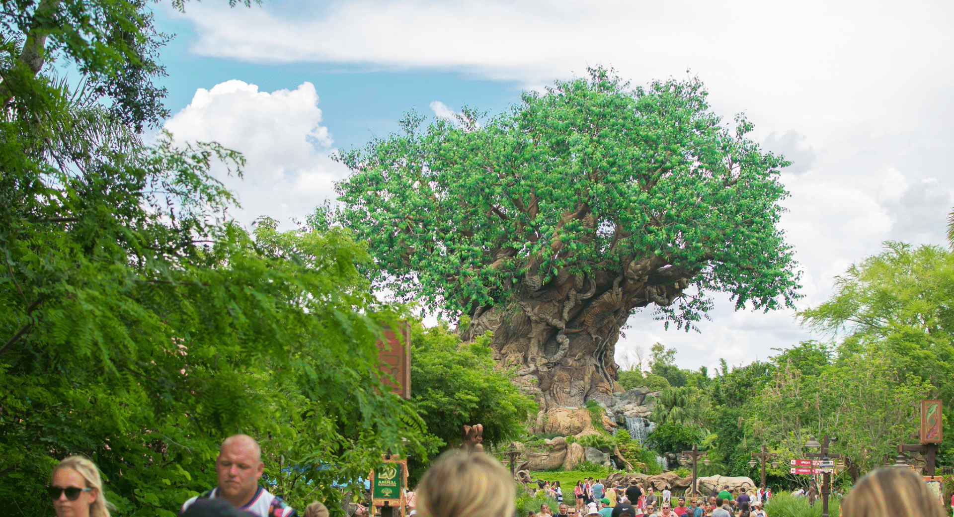 Tree of Life Animal Kingdom Walt Disney World