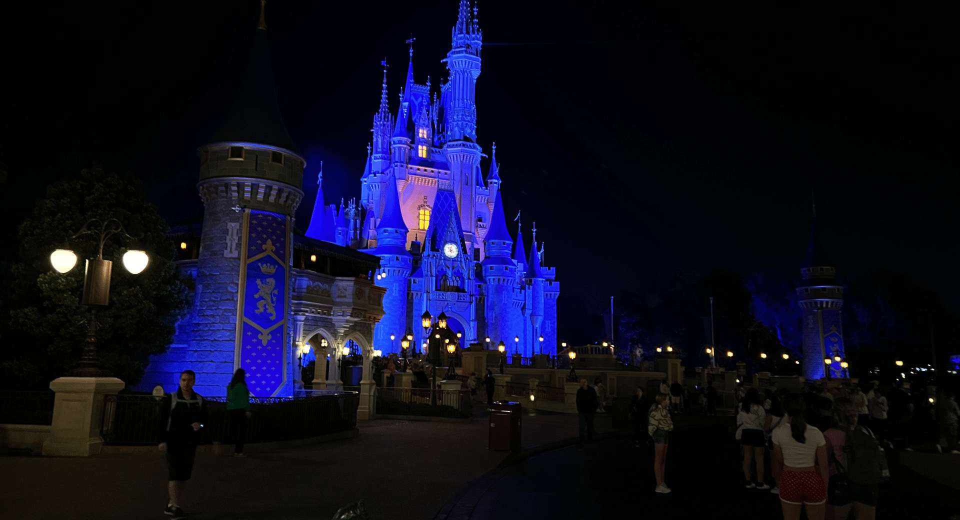 Magic Kingdom at night